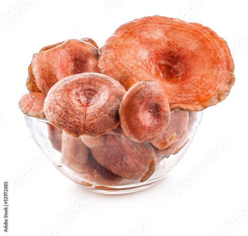 Photo: Saffron milk caps (Lactarius deliciosus) in tray Saffron milk caps (Lactarius deliciosus) in tray