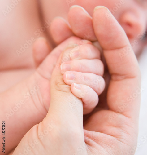 Photo: small child is held by the hand the parent small child is held by the hand the parent