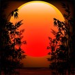 Bamboo on Sunset-Bambu nel Tramonto