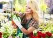 Photo: Florists woman working with flowers at a greenhouse. Florists woman working with flowers at a greenhouse.