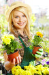 Photo: Florists woman working with flowers at a greenhouse. Florists woman working with flowers at a greenhouse.