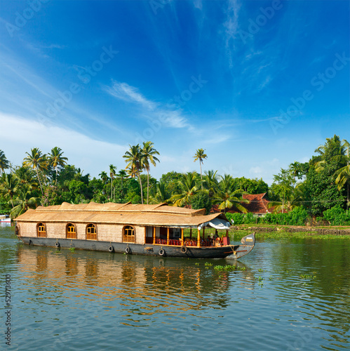 Houseboat on Kerala backwaters, India by f9ph