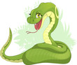 snake