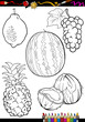 cartoon fruits set for coloring book