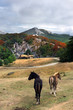 Beautiful house in the mountain with horses