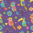 tropical birds