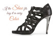 Sexy female stiletto shoe isolated on white with sample text