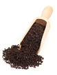 Photo: Black tea crop Black tea crop