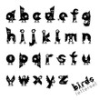 Letterset BIRDS