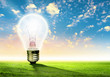 Light bulb and nature