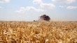 Video: Wheat harvest, Combine in action Wheat harvest, Combine in action