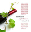 bottle of wine