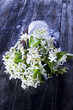 Foto: Jasmine Flower Jasmine Flower