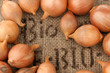 Zwiebel