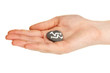 Fortune telling  with symbols on stone in hand isolated on