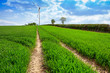 Photo: Nature Protection Nature Protection