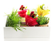 Beautiful Spring Flowers And G...