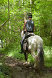 Riding through the forestry