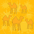 oriental animals
