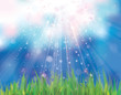 Vector of sunshine sky background  and green grass.