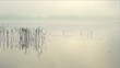 Lake with reeds reflected in the water