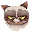Grumpy Cat Cartoon-Gatto Stizzito Irritato e Brontolone