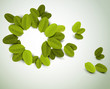 Vector: summer design with fresh green leaves summer design with fresh green leaves