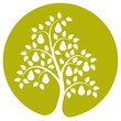Vector: pear tree pear tree