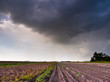Photo: Harvested Field under Summer Storm Harvested Field under Summer Storm