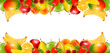 Vector: Two borders made of delicious ripe fruit. Vector. Two borders made of delicious ripe fruit. Vector.