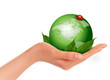 Vector: Green world and leaf have love bug in woman hand. Vector illustr Green world and leaf have love bug in woman hand. Vector illustr