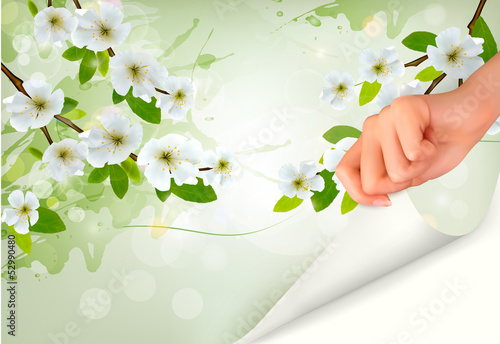 Vector: Nature background with blossoming branch. Nature background with blossoming branch.