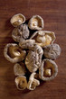 Shitake Mushrooms on wood