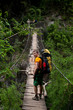 Hiker in forest