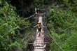 Photo: Hiker in forest Hiker in forest