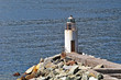 Il faro di Camogli - Liguria