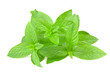 Foto: mint mint