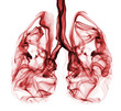 Smoke formation shaped as lungs. Illustration of cancer