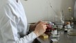 microbiologist examines the results of experimentation