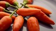Capsicum Aji Peperoncino Chilli 고추류