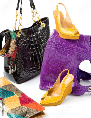 Photo: Snake leather fashion accesories still life composition Snake leather fashion accesories still life composition