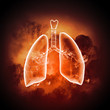 Schematic illustration of human lungs
