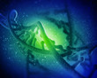 DNA molecule