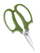 Garden secateurs isolated on a white background.