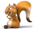 Zen squirrel