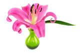 Rosa Lilie mit gr�ner Vase