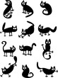 Funny black cats