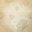 Vector: Historical Background Historical Background