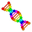 Rainbow DNA logo - deoxyribonucleic acid on white background