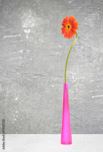 Photo: orange gerbera in violet vase orange gerbera in violet vase